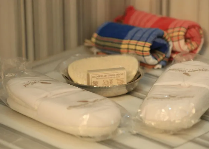 فندق اوتومان امبريال - فئة خاصة 4*